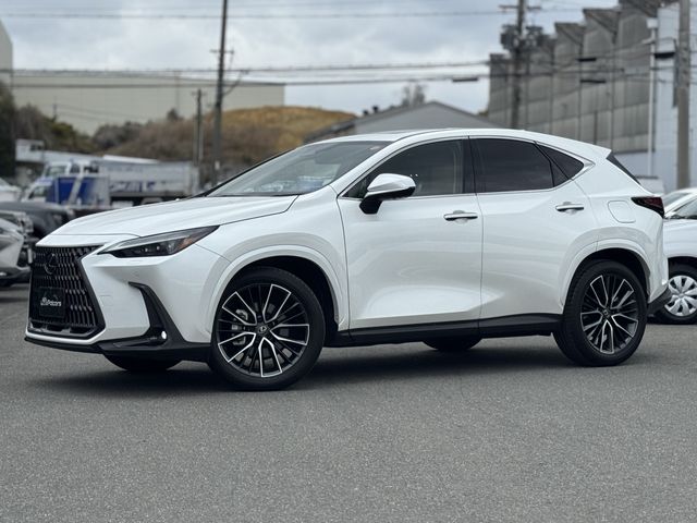 TOYOTA / LEXUS NX250 AWD