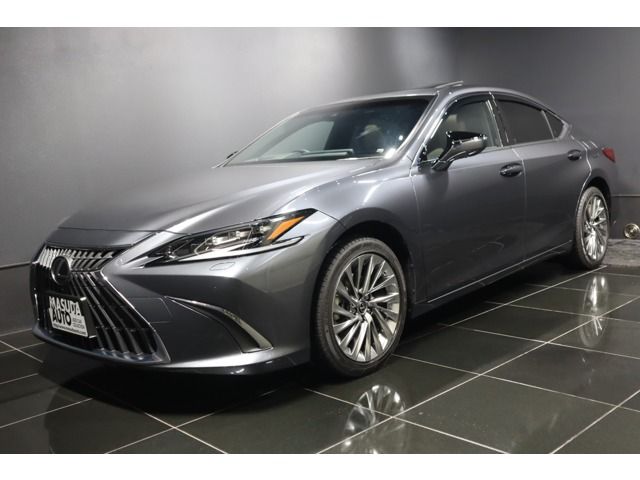 TOYOTA / LEXUS ES300h