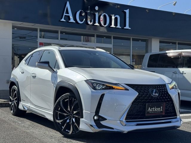 TOYOTA / LEXUS UX250h
