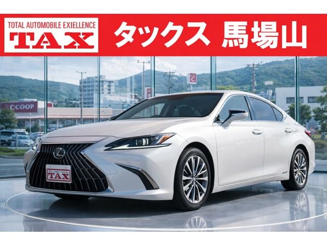 TOYOTA / LEXUS ES300h