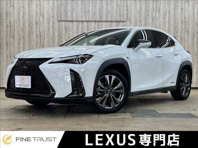 TOYOTA / LEXUS UX250h