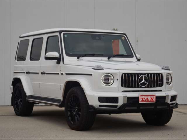 MERCEDES BENZ / MERCEDES BENZ G class