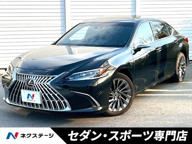 TOYOTA / LEXUS ES300h