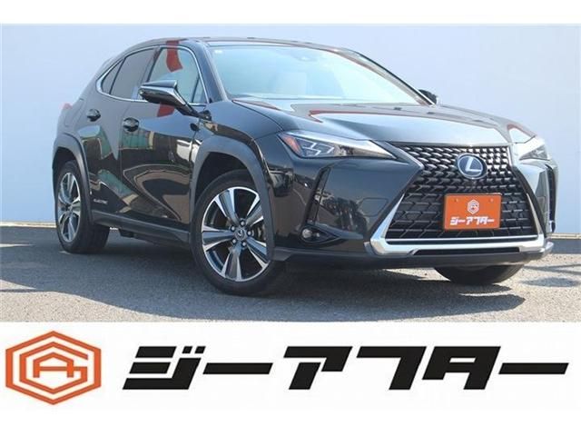 TOYOTA / LEXUS UX300e