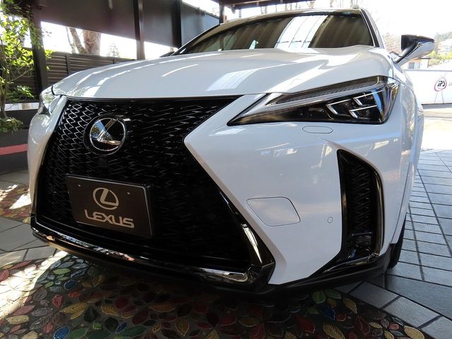 Japanese used car Ref# 1543715 TOYOTA / LEXUS UX300h