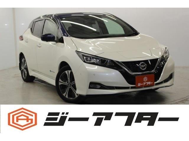 NISSAN / LEAF