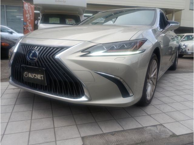 TOYOTA / LEXUS ES300h