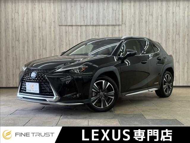 TOYOTA / LEXUS UX250h
