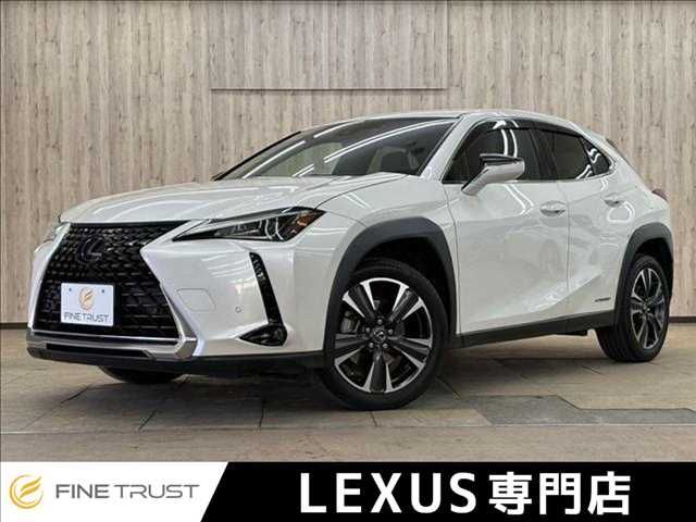 TOYOTA / LEXUS UX250h
