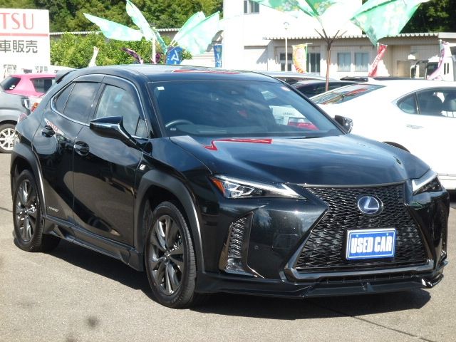 TOYOTA / LEXUS UX250h AWD