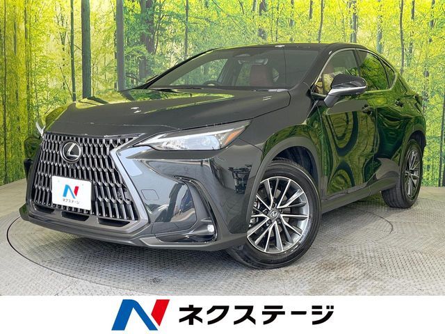 TOYOTA / LEXUS NX250