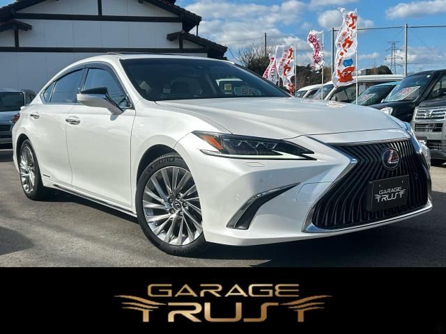 TOYOTA / LEXUS ES300h