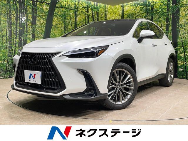 Japanese used car Ref# 1549234 TOYOTA / LEXUS NX250