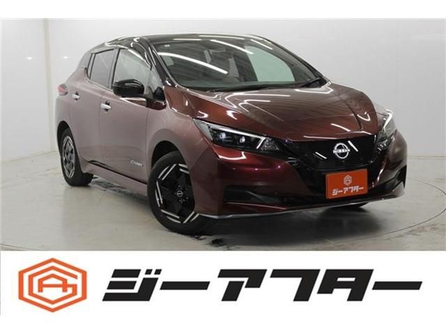 Japanese used car Ref# 1549624 NISSAN / LEAF