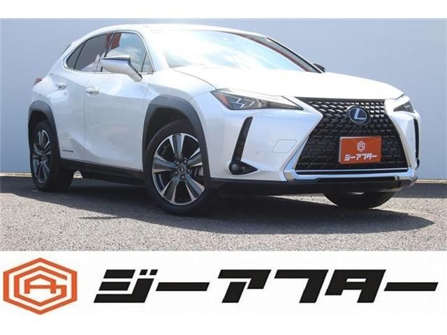TOYOTA / LEXUS UX300e