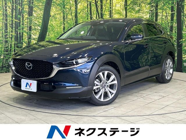 Japanese used car Ref# 1551098 MAZDA / CX-30