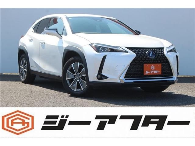 TOYOTA / LEXUS UX300e
