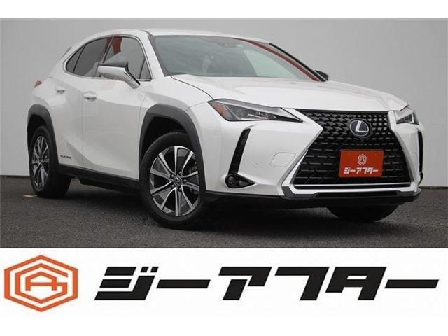 TOYOTA / LEXUS UX300e