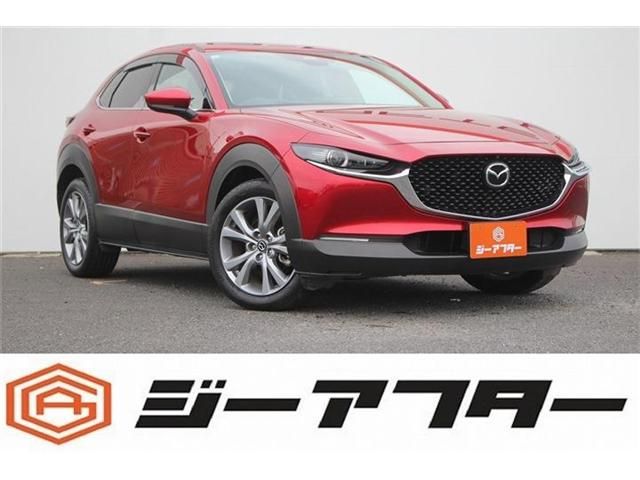 Japanese used car Ref# 1553624 MAZDA / CX-30