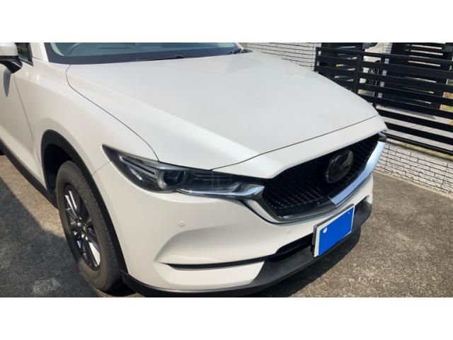 Japanese used car Ref# 1554085 MAZDA / CX-5