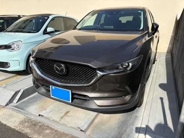 Japanese used car Ref# 1554119 MAZDA / CX-5