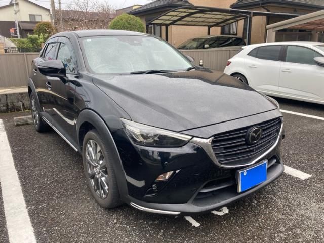 Japanese used car Ref# 1554272 MAZDA / CX-3
