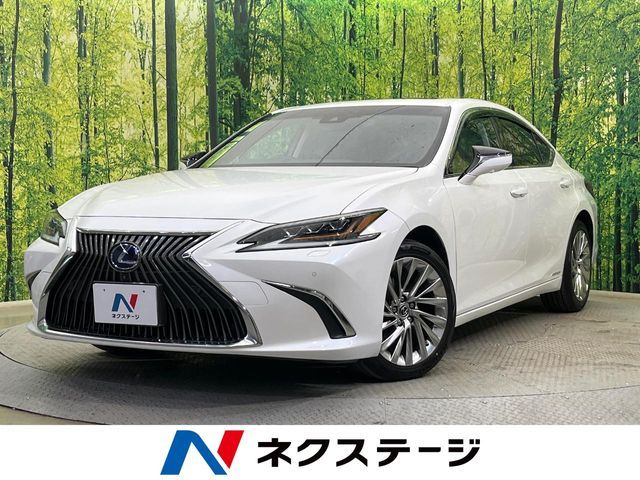 TOYOTA / LEXUS ES300h