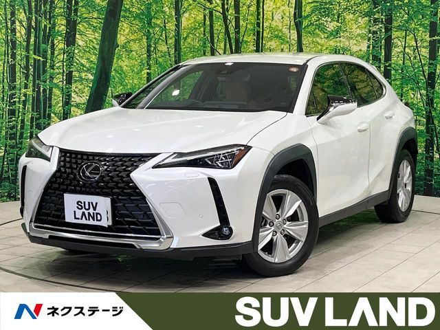 TOYOTA / LEXUS UX250h