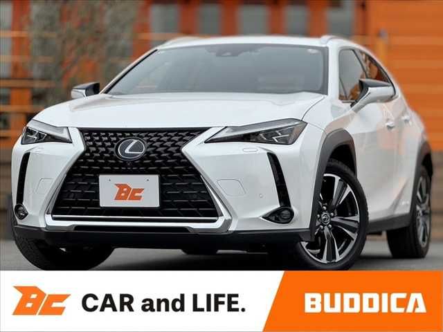 TOYOTA / LEXUS UX250h AWD