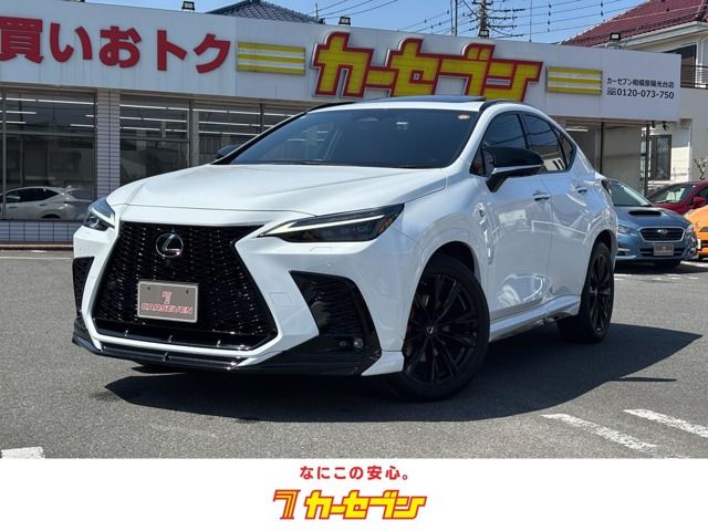 TOYOTA / LEXUS NX450h+ AWD