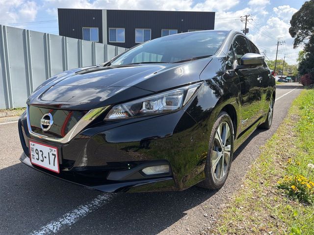 NISSAN / LEAF
