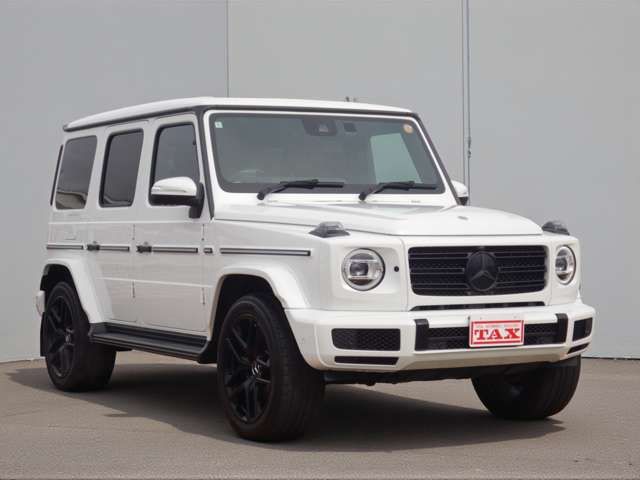 MERCEDES BENZ / MERCEDES BENZ G class