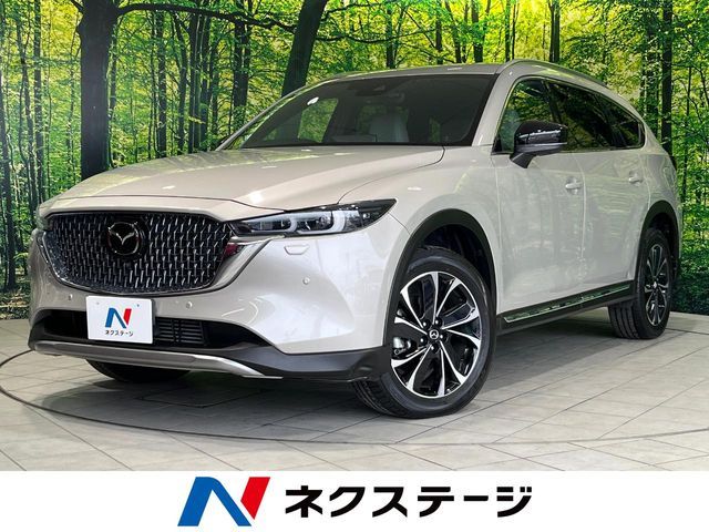Japanese used car Ref# 1557086 MAZDA / CX-8 4WD