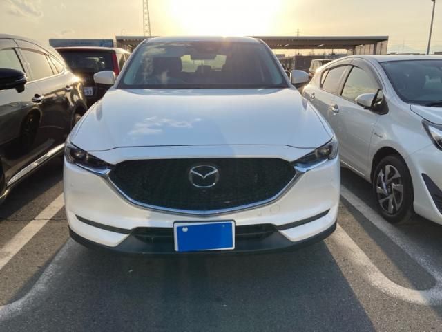 Japanese used car Ref# 1557419 MAZDA / CX-5