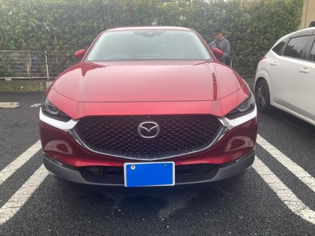 Japanese used car Ref# 1557474 MAZDA / CX-30