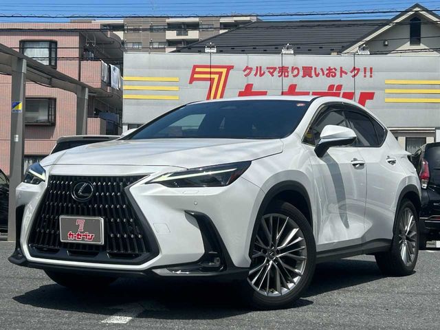 TOYOTA / LEXUS NX250 AWD