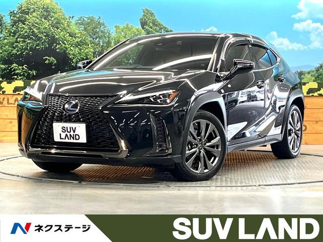 TOYOTA / LEXUS UX250h
