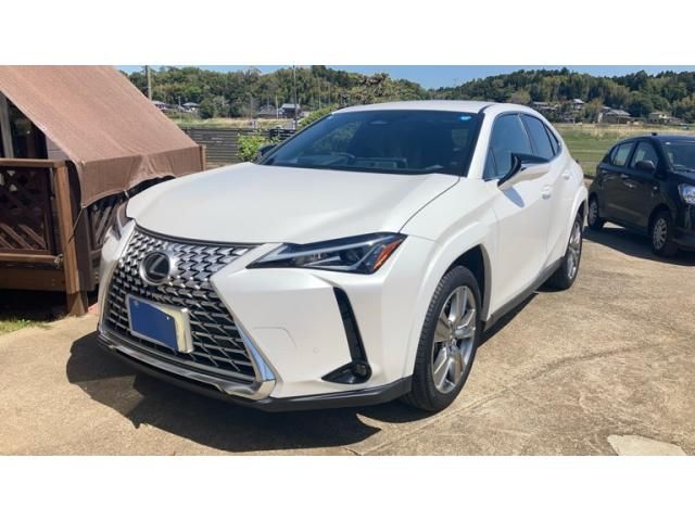 TOYOTA / LEXUS UX300h