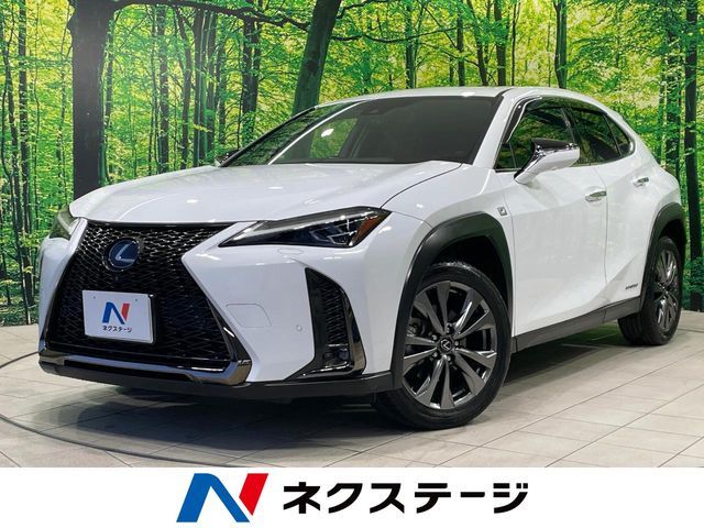 TOYOTA / LEXUS UX250h