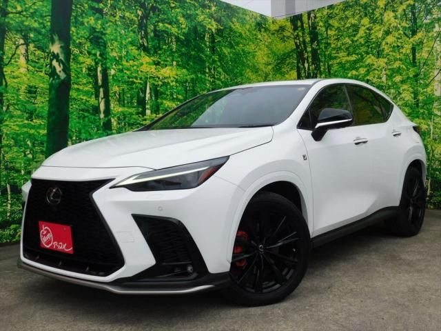 TOYOTA / LEXUS NX450h+ AWD