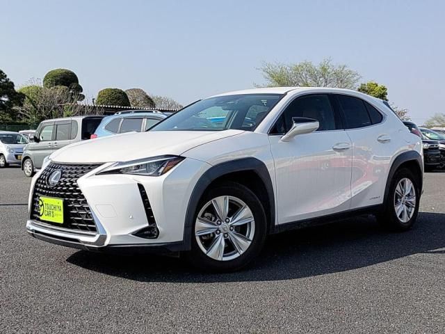 TOYOTA / LEXUS UX250h