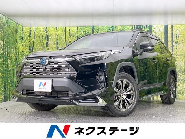 TOYOTA / RAV4 HYBRID 4WD