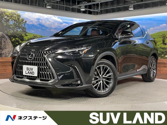TOYOTA / LEXUS NX250 AWD