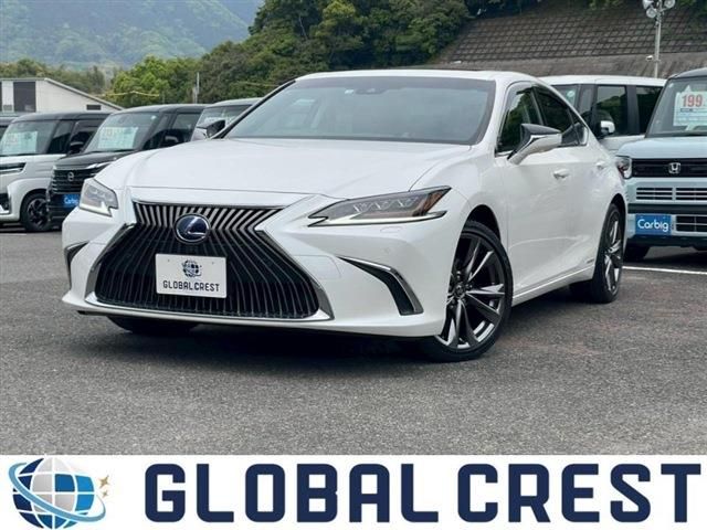 TOYOTA / LEXUS ES300h