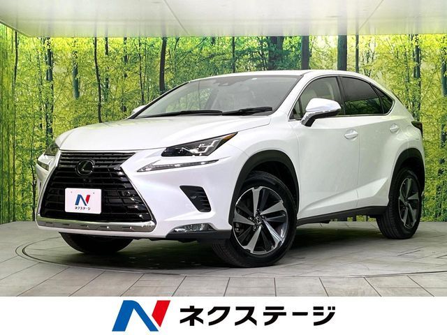 TOYOTA / LEXUS NX300 AWD
