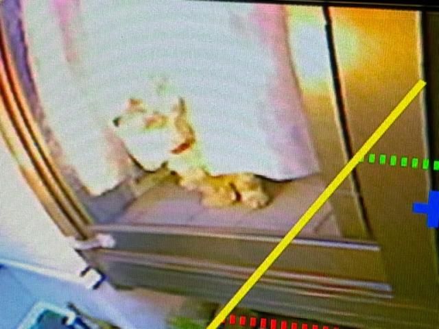 NISSAN / CARAVAN van 1.2t 2WD