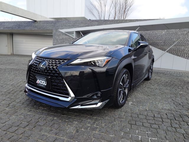 TOYOTA / LEXUS UX250h