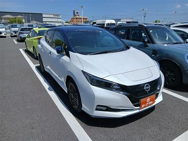 NISSAN / LEAF
