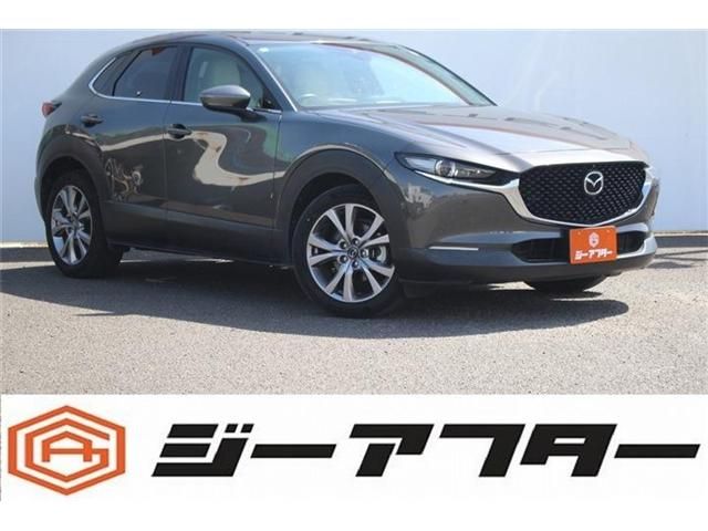 Japanese used car Ref# 1563749 MAZDA / CX-30