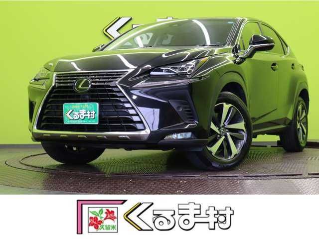 TOYOTA / LEXUS NX300
